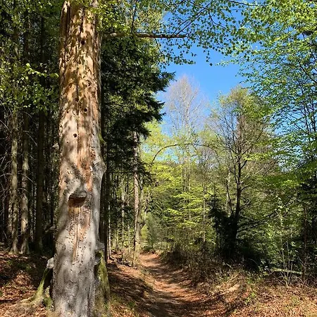 Διαμέρισμα Im Zentrum Von *