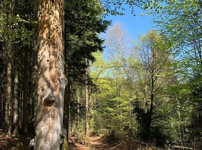 Lejlighed Im Zentrum Von *